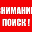 В Тульской области почти две недели ищут пропавшую 16-летнюю девушку - Центр 71
