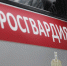 За год туляки сдали в Росгвардию более 750 единиц оружия - Myslo.Ru