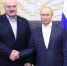 Владимир Путин встретится с Александром Лукашенко в Минске - ИА Тульская служба новостей