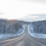 В Тульской области на выходных ожидается гололедица, порывистый ветер и снег - ИА Тульская пресса.Ru