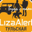 Волонтеры «ЛизаАлерт» в Тульской области вышли на ночное дежурство - ИА Тульская служба новостей