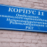 В Туле 9-летний ребенок упал и сломал позвоночник: кто должен оплатить ущерб - ТК Первый Тульский