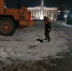 За сутки из Тулы вывезли 700 кубометров снега - ИА Тульская служба новостей