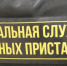 Виртуальный помощник «Полина» расскажет тулякам о долгах и арестах имущества - Myslo.Ru
