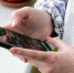 В России могут отключить работающие на базе ОС Android и iOS смартфоны - ИА Тульская служба новостей