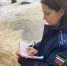 В Новомосковске «Лада» сбила девочку на тюбинге: прокуратура проводит проверку - ИА Тульская пресса.Ru