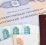 Родивших за рубежом россиянок могут лишить маткапитала - ИА Тульская служба новостей