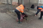 Уборка в городе