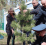 В Туле в честь 100-летия спортивного общества «Динамо» высадили кедр - ТК Первый Тульский