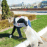 DSC00005.jpg - Myslo.Ru