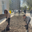 Сотрудники Тульского отделения Сбербанка приняли участие в уборке территорий города - ИА Тульская пресса.Ru
