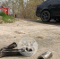 65fe22c0-13b8-4709-a9fc-a46127e2f670.jpg - Myslo.Ru
