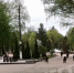 Жители Тулы пожаловались на стаю бродячих собак в Центральном парке - ИА Тульская служба новостей