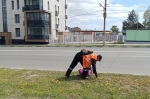 Уборка в городе