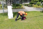 Уборка в городе