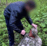 В Тульской области мужчина жестоко избил сожительницу: от полученных травм она скончалась в больнице - Myslo.Ru