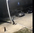 В Новомосковске на видео попал неравный бой подростка и самоката - Myslo.Ru