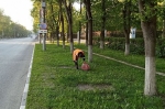 Уборка в городе