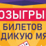 Туляки могут выиграть 2 билета на Дикую Мяту - ИА Тульская служба новостей