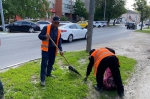 Уборка в городе