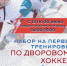 Федерация хоккея Тульской области приглашает детей на бесплатные занятия дворовые команды - Министерство спорта