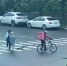 В центре Тулы горожане спасли утиное семейство - ТК Первый Тульский