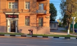 Уборка в городе