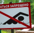 В пруду под Тулой утонул мужчина - ТК Первый Тульский