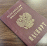 В Туле осужденный впервые в России получил паспорт прямо в колонии - ТК Первый Тульский