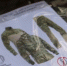 Российским военным выдали новую форму, сшитую специально для СВО - ИА Тульская пресса.Ru