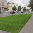 Обновление газонов в Туле: работы уже провели на 21 тысячи кв. метров - Администрация г. Тула