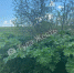 qiQjDZMIkSU.jpg - Myslo.Ru