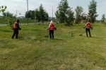 Уборка в городе