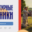 Культурный перекресток 71: культинформ - Объединение центров развития культуры