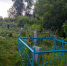 Приехавшие в Тулу туристы остались разочарованы состоянием Спасского кладбища - ИА Тульская пресса.Ru