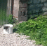 pQj0w0NTCV4.jpg - Myslo.Ru