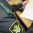 Поцарапавшая полицейского жительница Новомосковска отправится на принудительные работы - Молодой коммунар