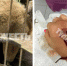 0510a90b-babf-41ca-823f-fd95e7a82a8b.jpg - Myslo.Ru
