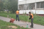 Уборка в городе