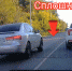 На Щекинском шоссе встретили рискового водителя - Myslo.Ru