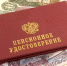 Тулякам автоматически назначили более двух тысяч пенсий по инвалидности в 2023 году - Молодой коммунар