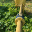WhatsApp Image 2023-09-25 at 18.17.28.jpeg - Myslo.Ru