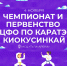 В Туле пройдут чемпионат и первенство ЦФО по каратэ киокусинкай - ТК Первый Тульский