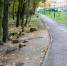 PAV-7849.jpg - Myslo.Ru