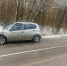 Под Тулой водитель иномарки врезался в дерево: виной тому стала бегущая косуля - ИА Тульская пресса.Ru