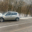 Под Тулой Chevrolet врезалось в дерево из-за косули - ТК Первый Тульский