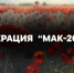 Тульские полицейские подвели итоги операции «Мак» - Myslo.Ru