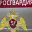 В Туле и Новомосковске росгвардейцы задержали дебоширов - ТК Первый Тульский