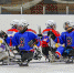 akm_sledge - Tula-Sport.Ru