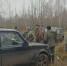 В Тульской области задержаны 12 браконьеров с двумя убитыми лосями - Myslo.Ru